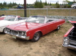 P1010008.JPG